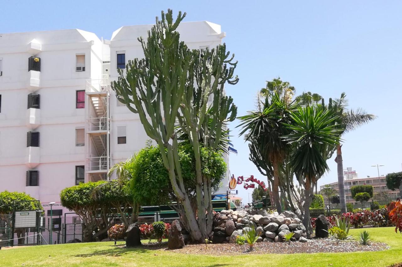 Iguazu Tir24 Top Floor Apartment ปลายา เดล อิงเกลส ภายนอก รูปภาพ